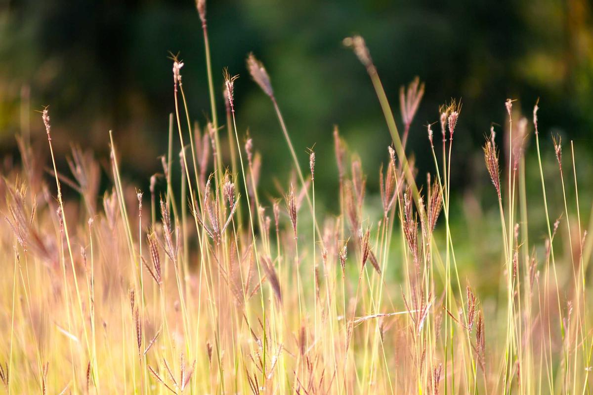 Behandlungspflege und medizinische Versorgung zu Hause in Mönchengladbach